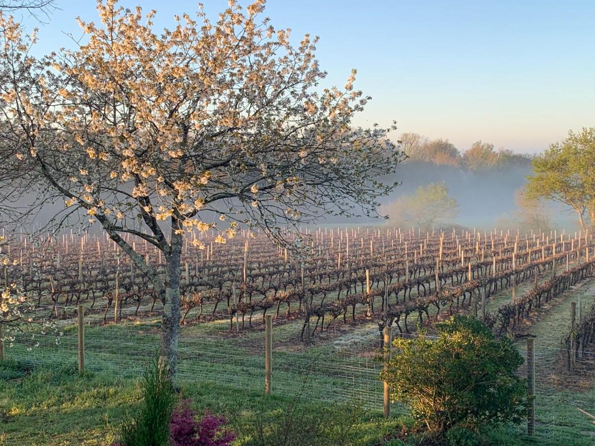 Lauberge De Nogaro Caupenne-d'Armagnac Exteriör bild